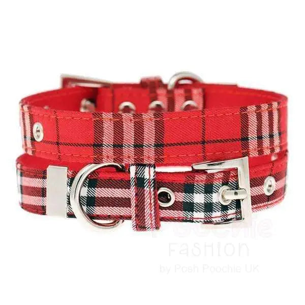 Red tartan dog 2024 collar and lead