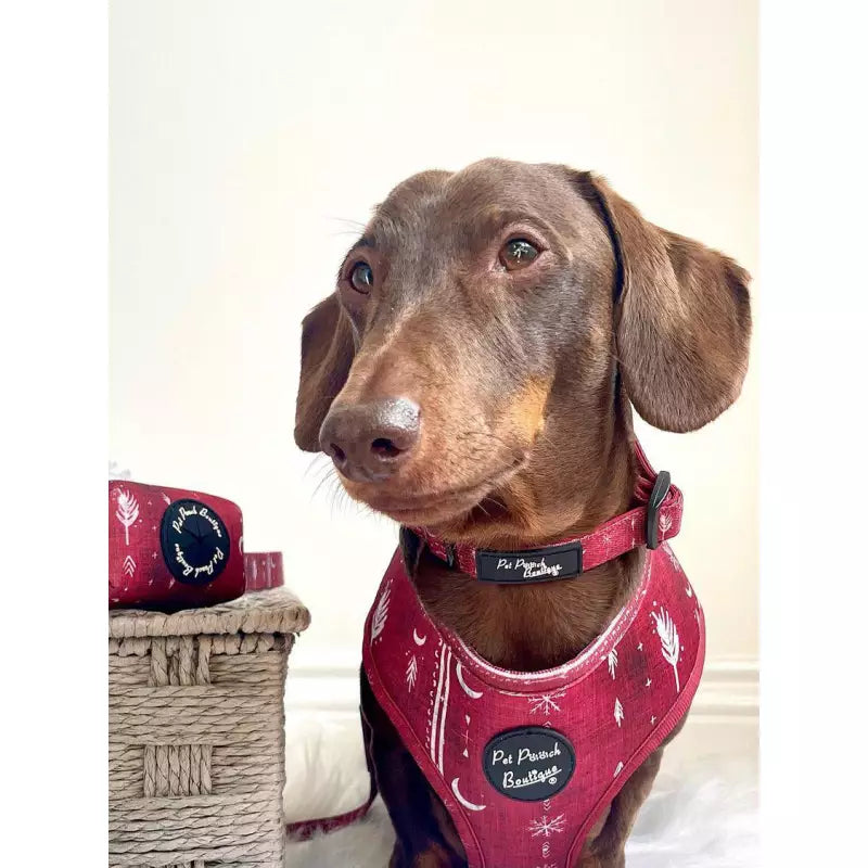Red Titan Puppy Dog Collar - Pet Pooch - 2