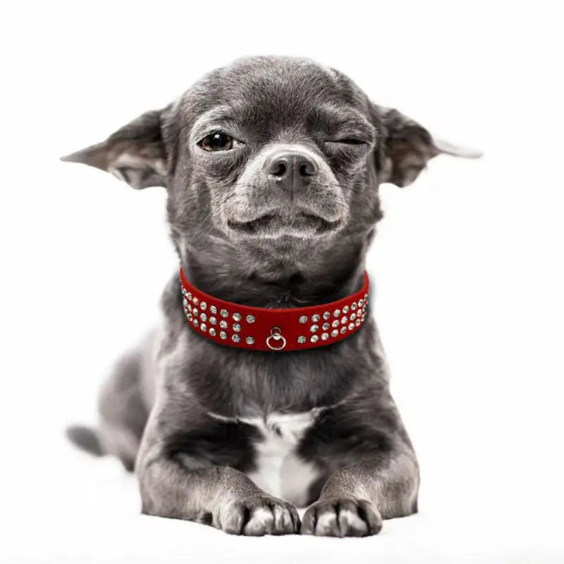 Red Triple Rhinestone eco-Suede Dog Collar - Posh Pawz - 3