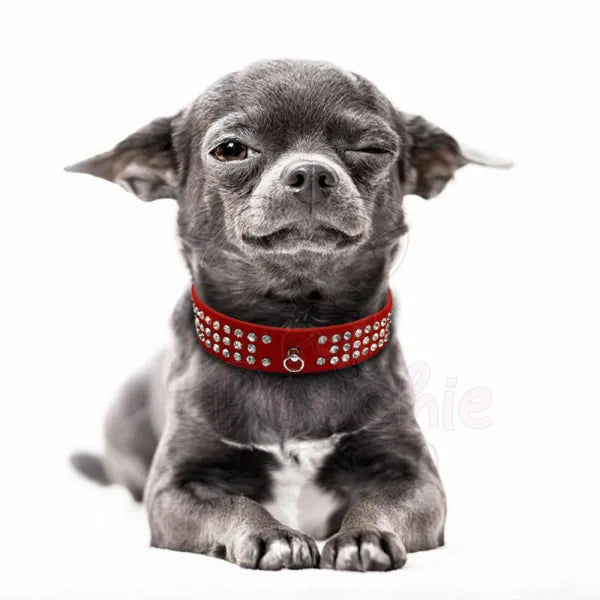 Red Triple Rhinestone Eco-suede Dog Collar - Posh Pawz - 4