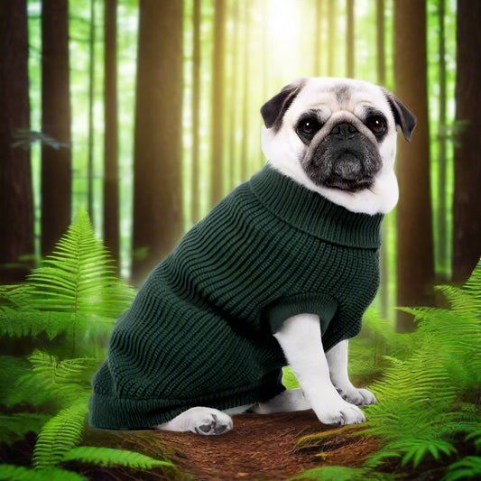 Ribbed Turtle Neck Supersoft Dog Jumper in Forest Green - Rich Paw - 1