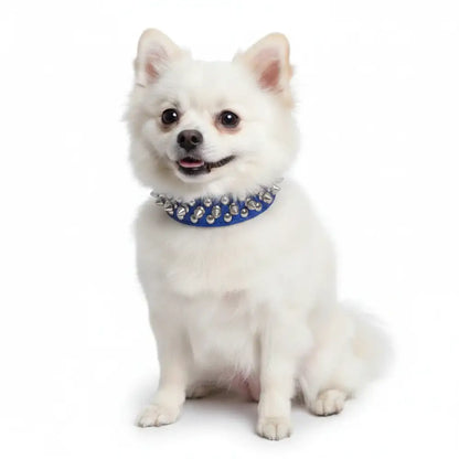 Royal Blue Metro Spike Vegan Leather Dog Collar - Posh Pawz - 2