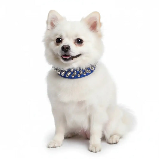Royal Blue Metro Spike Vegan Leather Dog Collar - Posh Pawz - 2