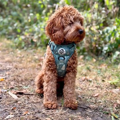 Rugged Rover™ Dog Harness – Heavy Duty No-pull with Handles - Evergreen Trails - Pupclub Couture - 7