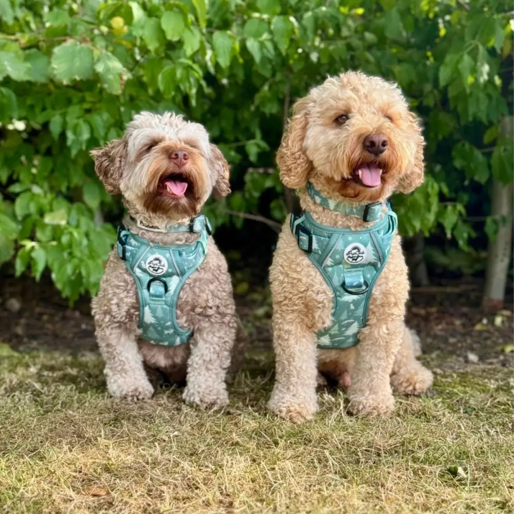 Rugged Rover™ Dog Harness – Heavy Duty No-pull with Handles - Evergreen Trails - Pupclub Couture - 3