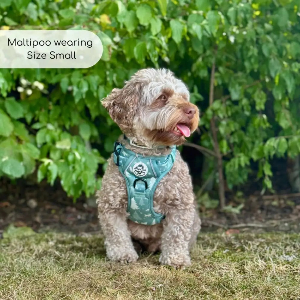 Rugged Rover™ Dog Harness – Heavy Duty No-pull with Handles - Evergreen Trails - Pupclub Couture - 6