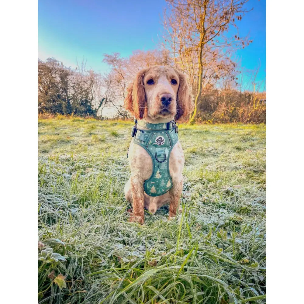 Rugged Rover™ Dog Harness – Heavy Duty No-pull with Handles - Evergreen Trails - Pupclub Couture - 8