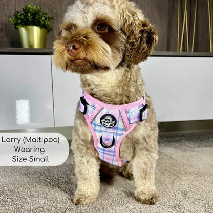 Rugged Rover™ Dog Harness - Pink Tartan - Pupclub Couture - 4