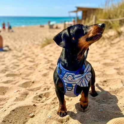 Rugged Rover™ Dog Harness - Sea Breeze Stripes - Pupclub Couture - 8