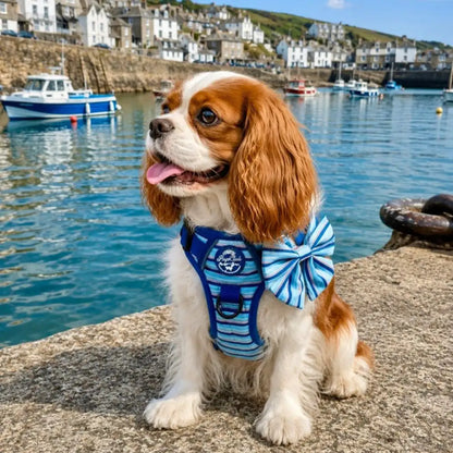Rugged Rover™ Dog Harness - Sea Breeze Stripes - Pupclub Couture - 7