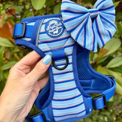 Rugged Rover™ Dog Harness - Sea Breeze Stripes - Pupclub Couture - 5