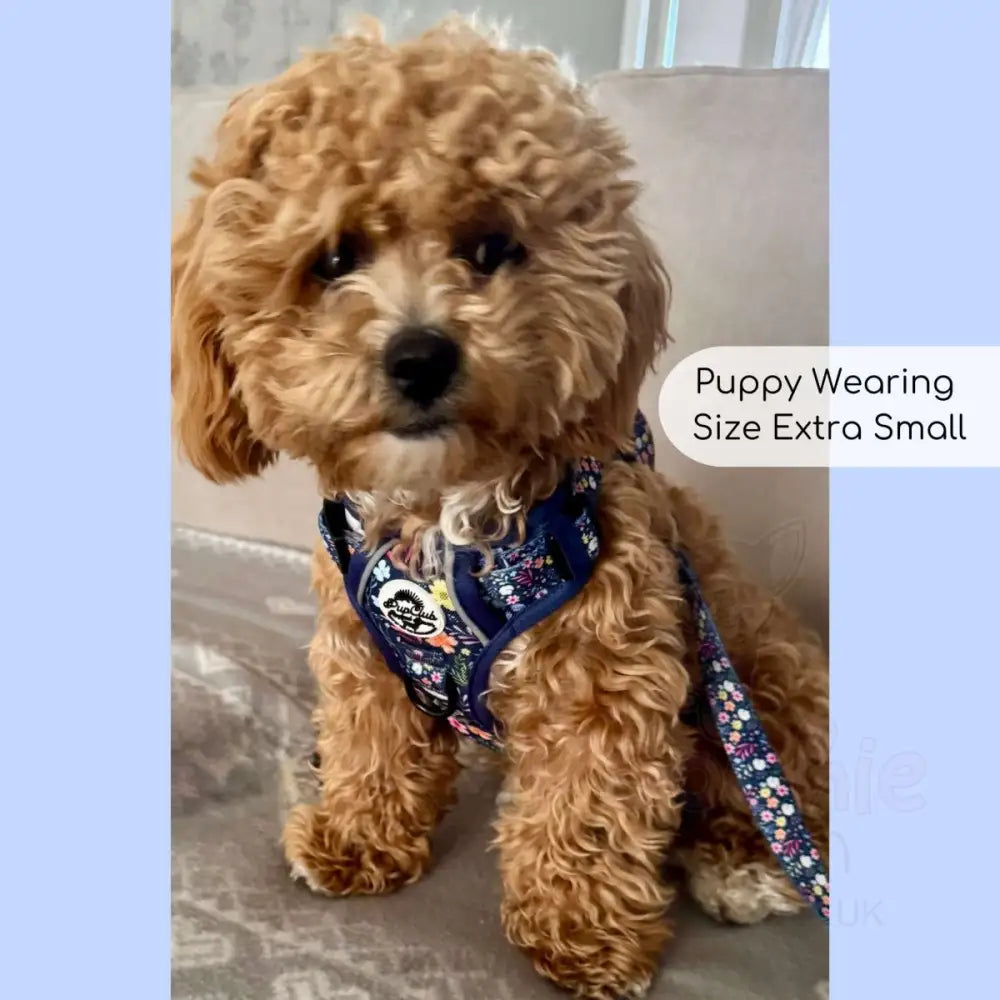 Rugged Rover™ Dog Harness - Summer Meadow - Pupclub Couture - 8