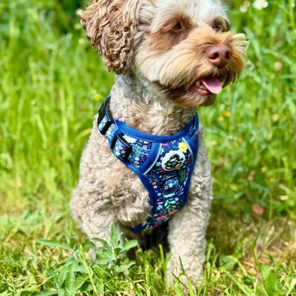 Rugged Rover™ Dog Harness - Summer Meadow - Pupclub Couture - 6