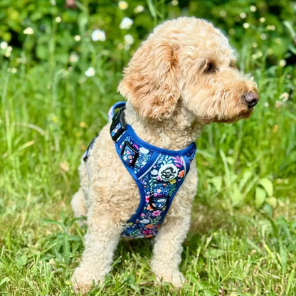 Rugged Rover™ Dog Harness - Summer Meadow - Pupclub Couture - 3