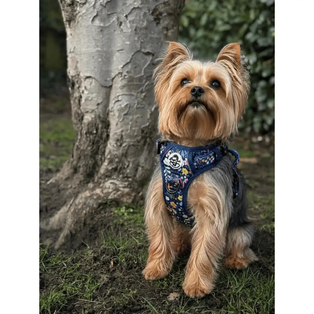 Rugged Rover™ Dog Harness - Summer Meadow - Pupclub Couture - 11