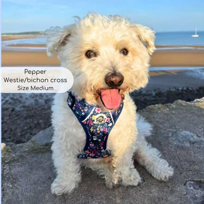 Rugged Rover™ Dog Harness - Summer Meadow - Pupclub Couture - 12