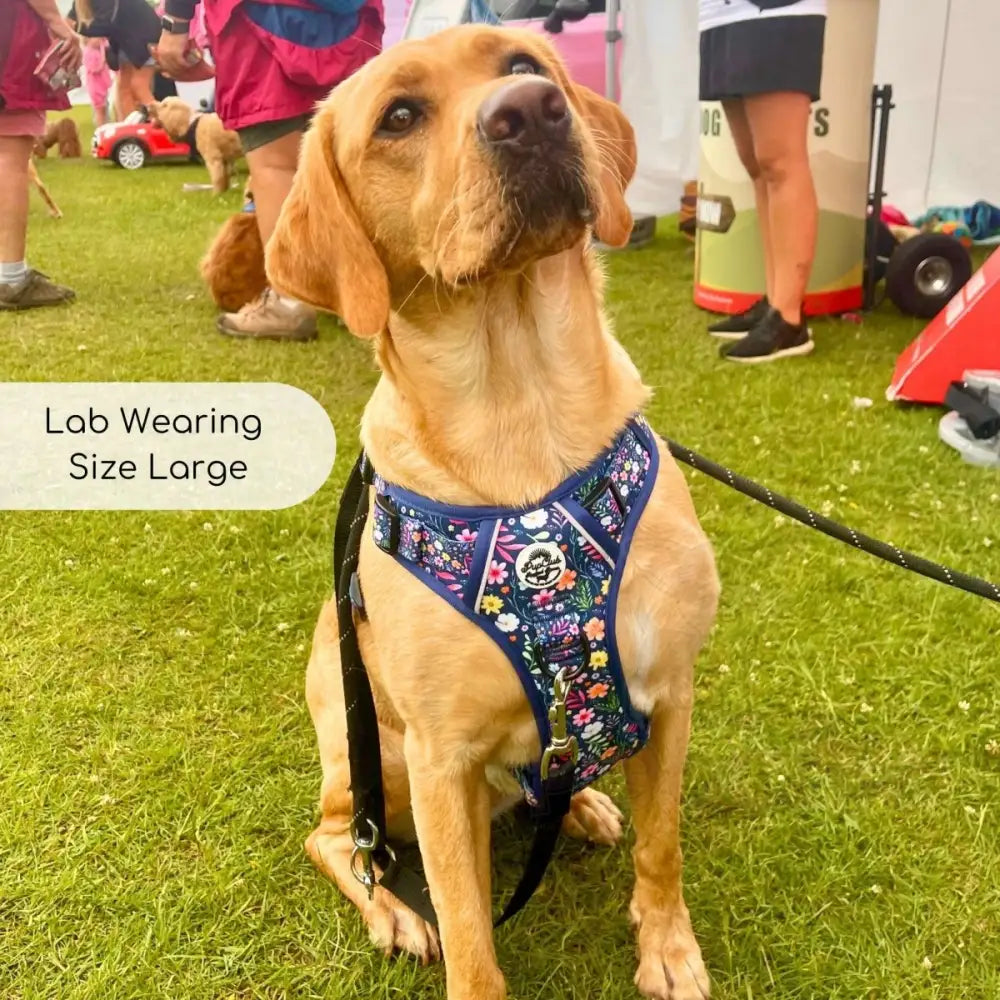 Rugged Rover™ Dog Harness - Summer Meadow - Pupclub Couture - 9