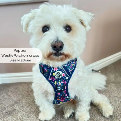 Rugged Rover™ Dog Harness - Summer Meadow - Pupclub Couture - 13