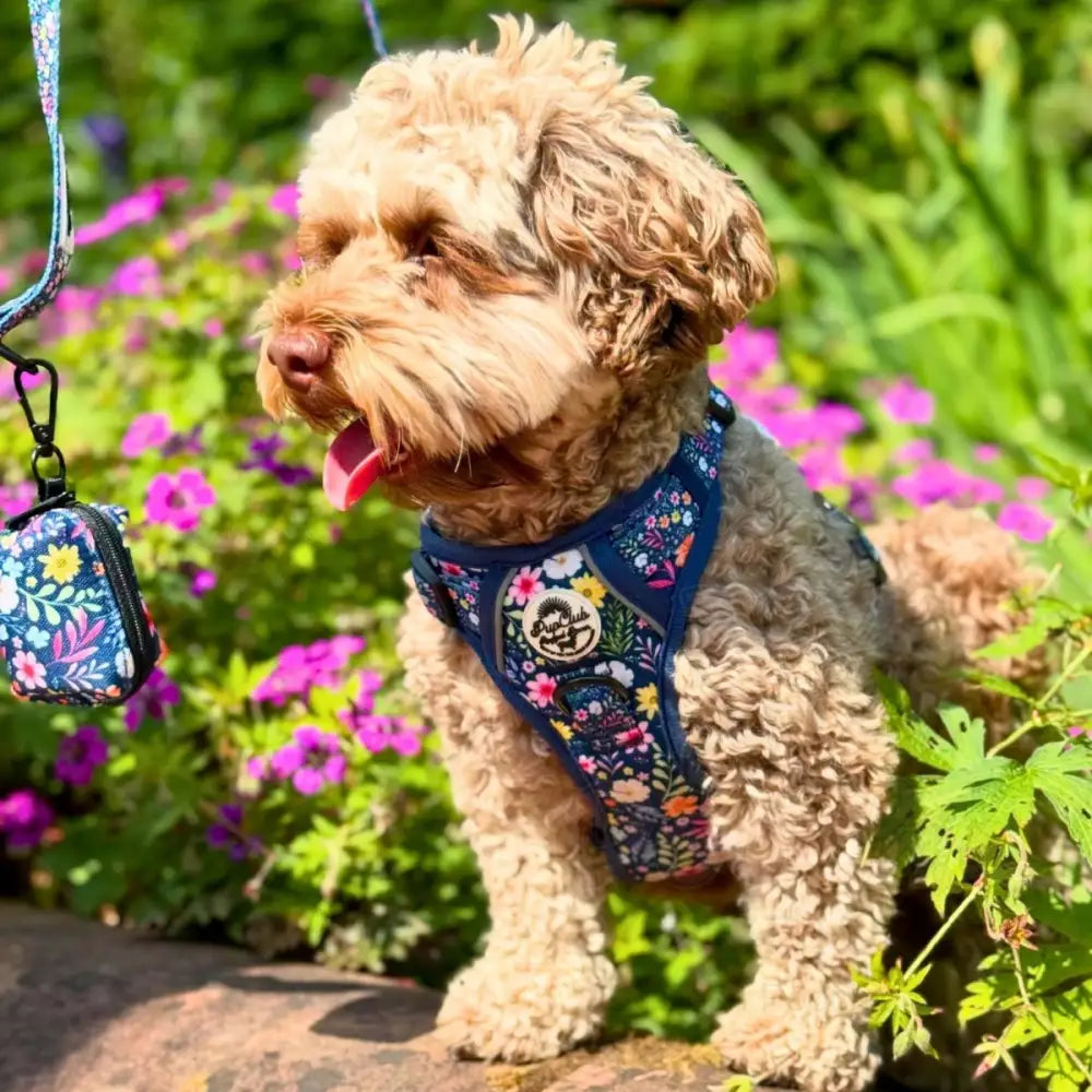 Rugged Rover™ Dog Harness - Summer Meadow - Pupclub Couture - 10