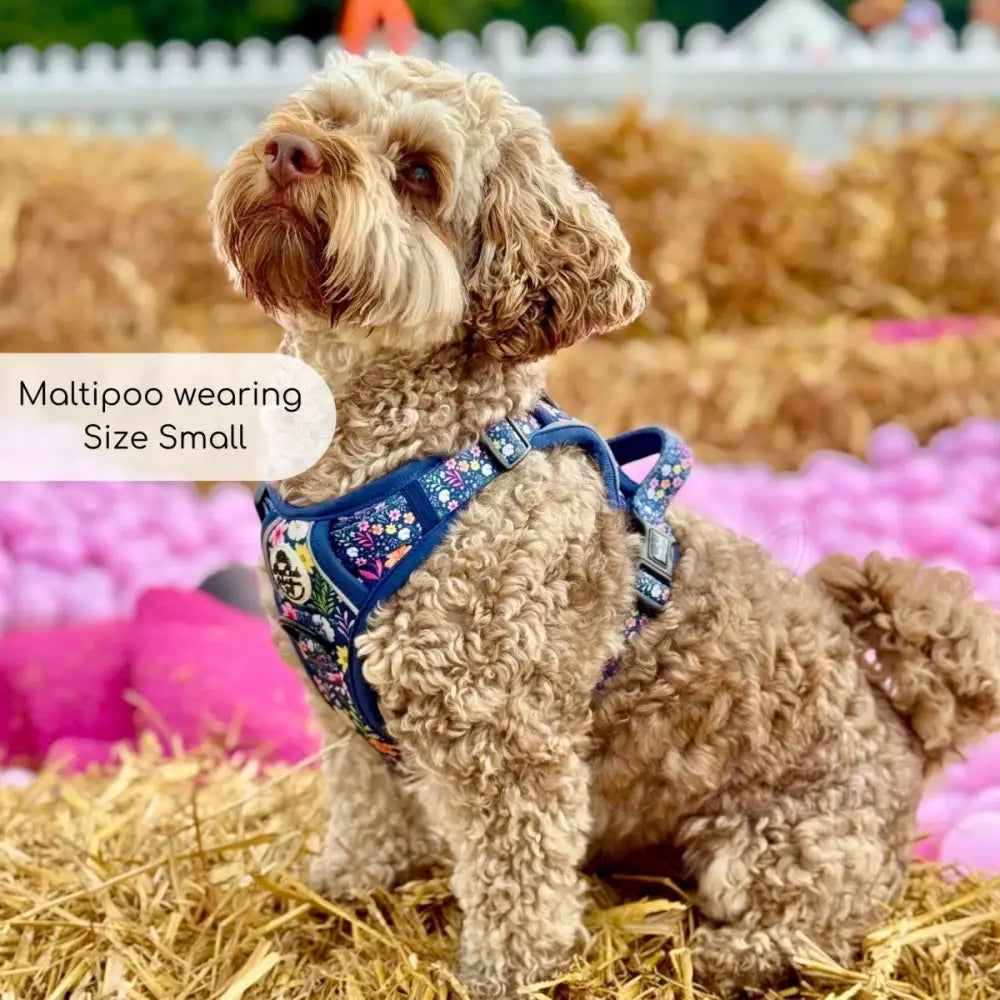 Rugged Rover™ Dog Harness - Summer Meadow - Pupclub Couture - 14