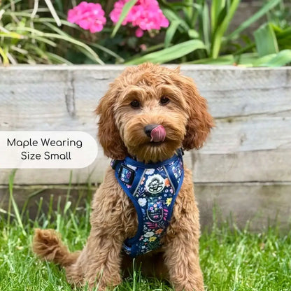 Rugged Rover™ Dog Harness - Summer Meadow - Pupclub Couture - 4