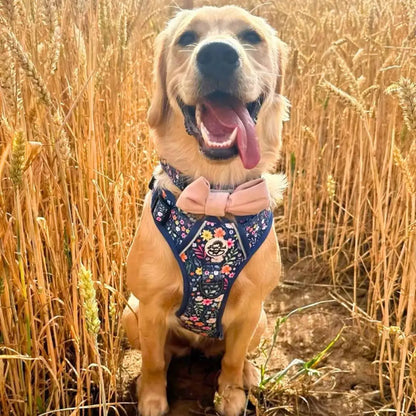 Rugged Rover™ Dog Harness - Summer Meadow - Pupclub Couture - 7