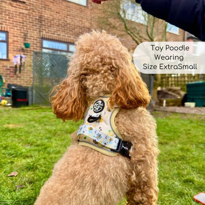 Rugged Rover™ Harness - Bee-utiful Summer - Pupclub Couture - 7