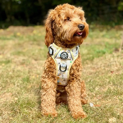 Rugged Rover™ Harness - Bee-utiful Summer - Pupclub Couture - 4