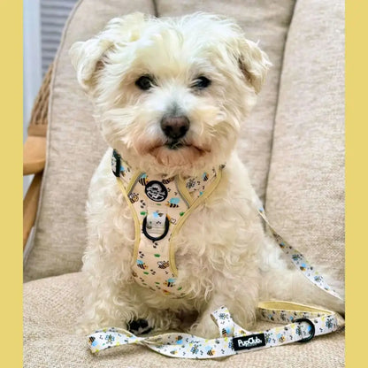 Rugged Rover™ Harness - Bee-utiful Summer - Pupclub Couture - 10