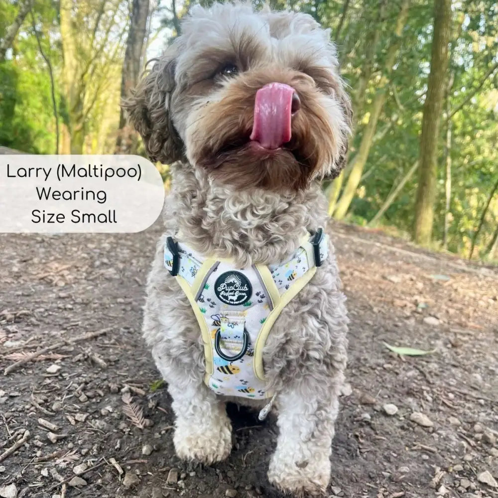 Rugged Rover™ Harness - Bee-utiful Summer - Pupclub Couture - 8