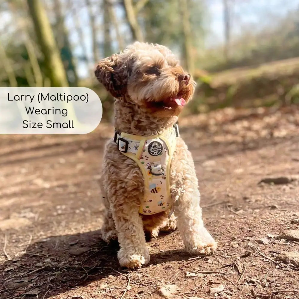 Rugged Rover™ Harness - Bee-utiful Summer - Pupclub Couture - 6
