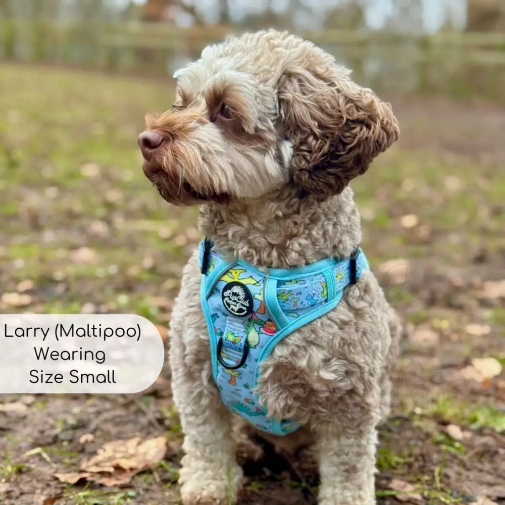 Jurassic Party Rugged Rover™ Dog Harness - Pupclub Couture - 4