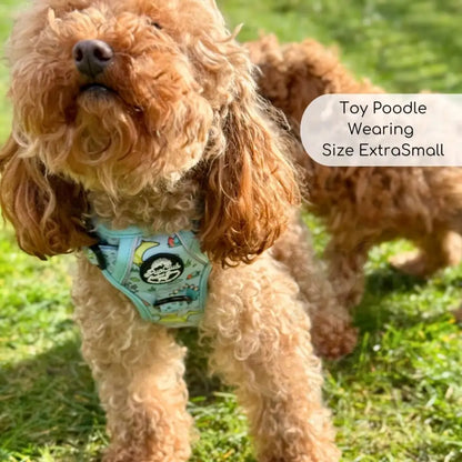 Jurassic Party Rugged Rover™ Dog Harness - Pupclub Couture - 8