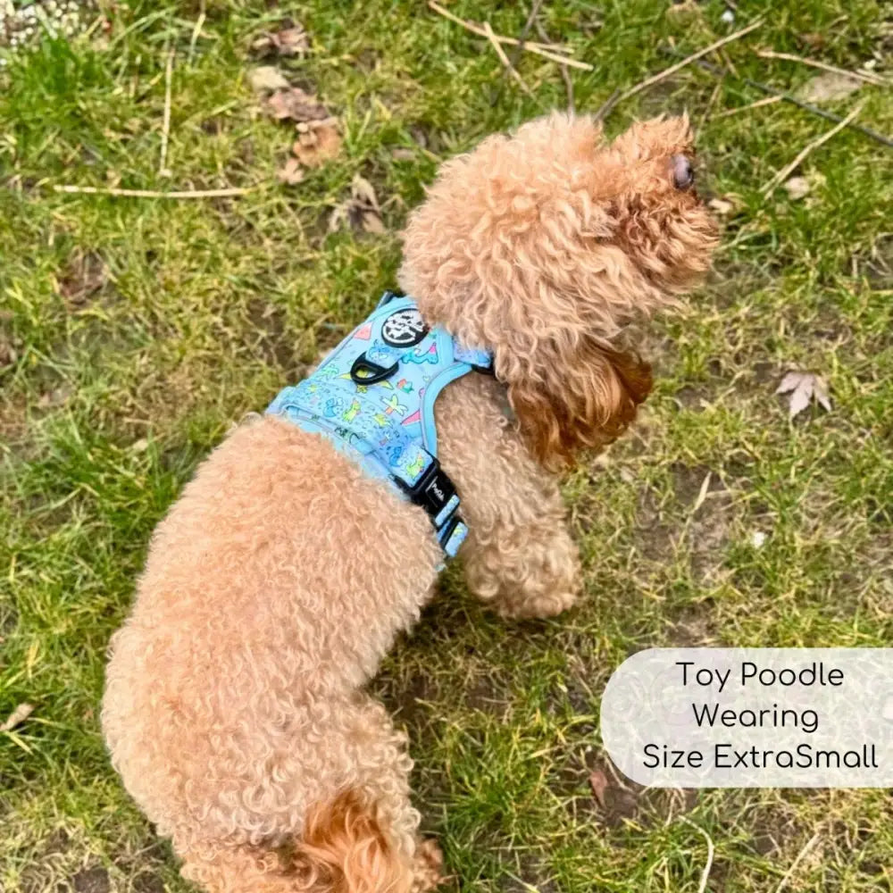 Jurassic Party Rugged Rover™ Dog Harness - Pupclub Couture - 6