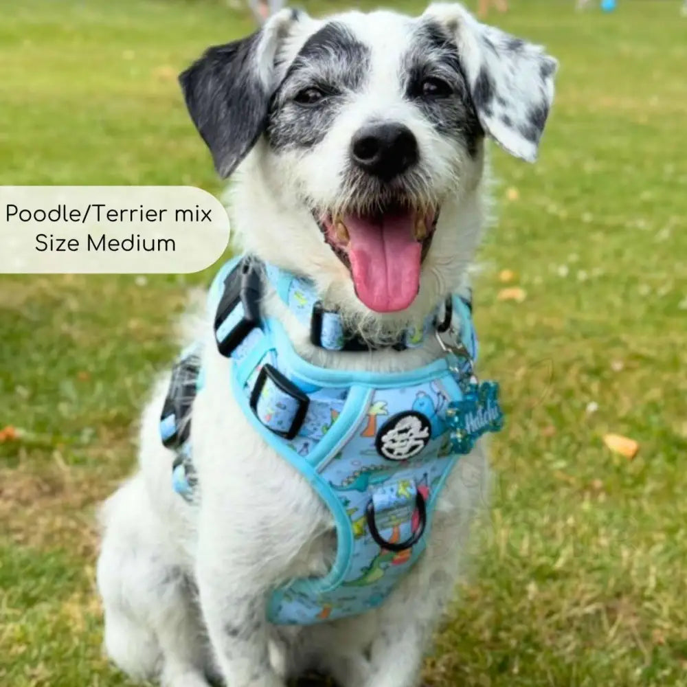 Jurassic Party Rugged Rover™ Dog Harness - Pupclub Couture - 10