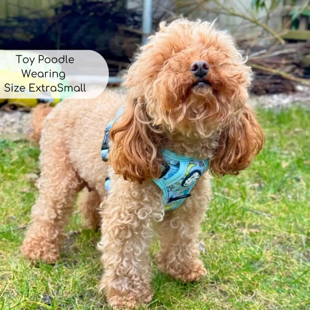 Jurassic Party Rugged Rover™ Dog Harness - Pupclub Couture - 7