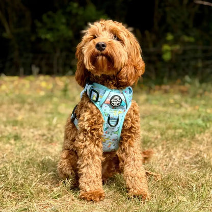 Jurassic Party Rugged Rover™ Dog Harness - Pupclub Couture - 5