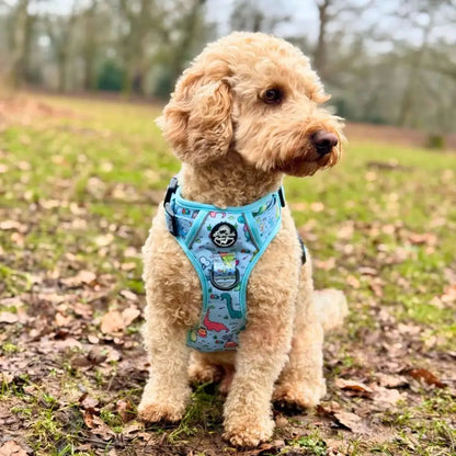 Jurassic Party Rugged Rover™ Dog Harness - Pupclub Couture - 9