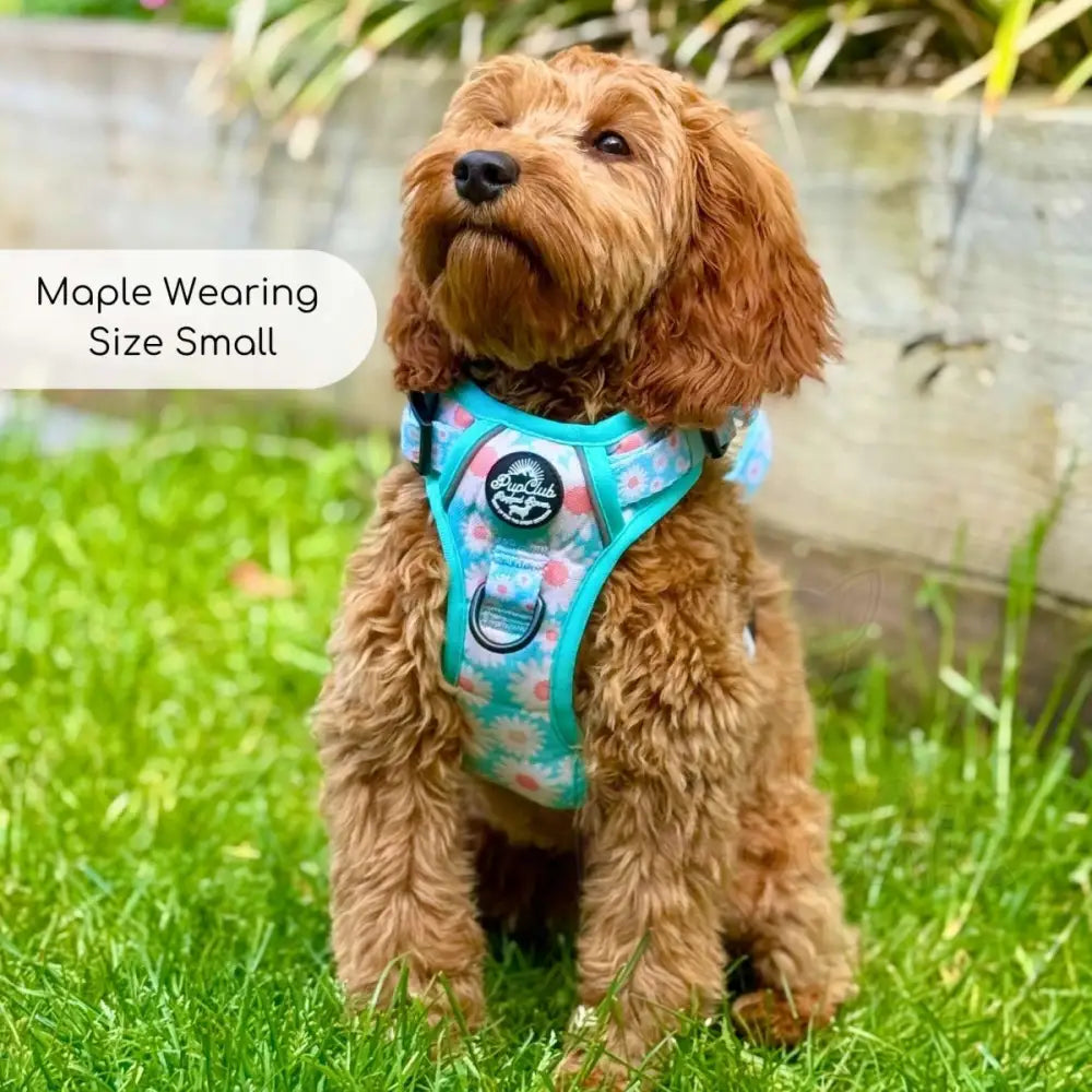 Rugged Rover™ Harness - Pastel Daisy - Pupclub Couture - 10