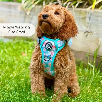 Rugged Rover™ Harness - Pastel Daisy - Pupclub Couture - 10