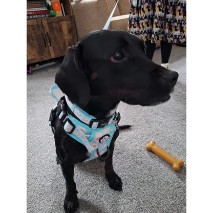 Rugged Rover™ Harness - Pastel Daisy - Pupclub Couture - 6