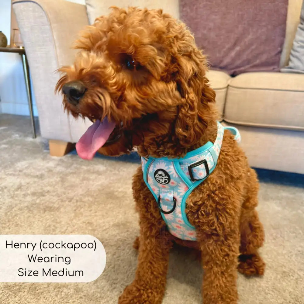 Rugged Rover™ Harness - Pastel Daisy - Pupclub Couture - 4