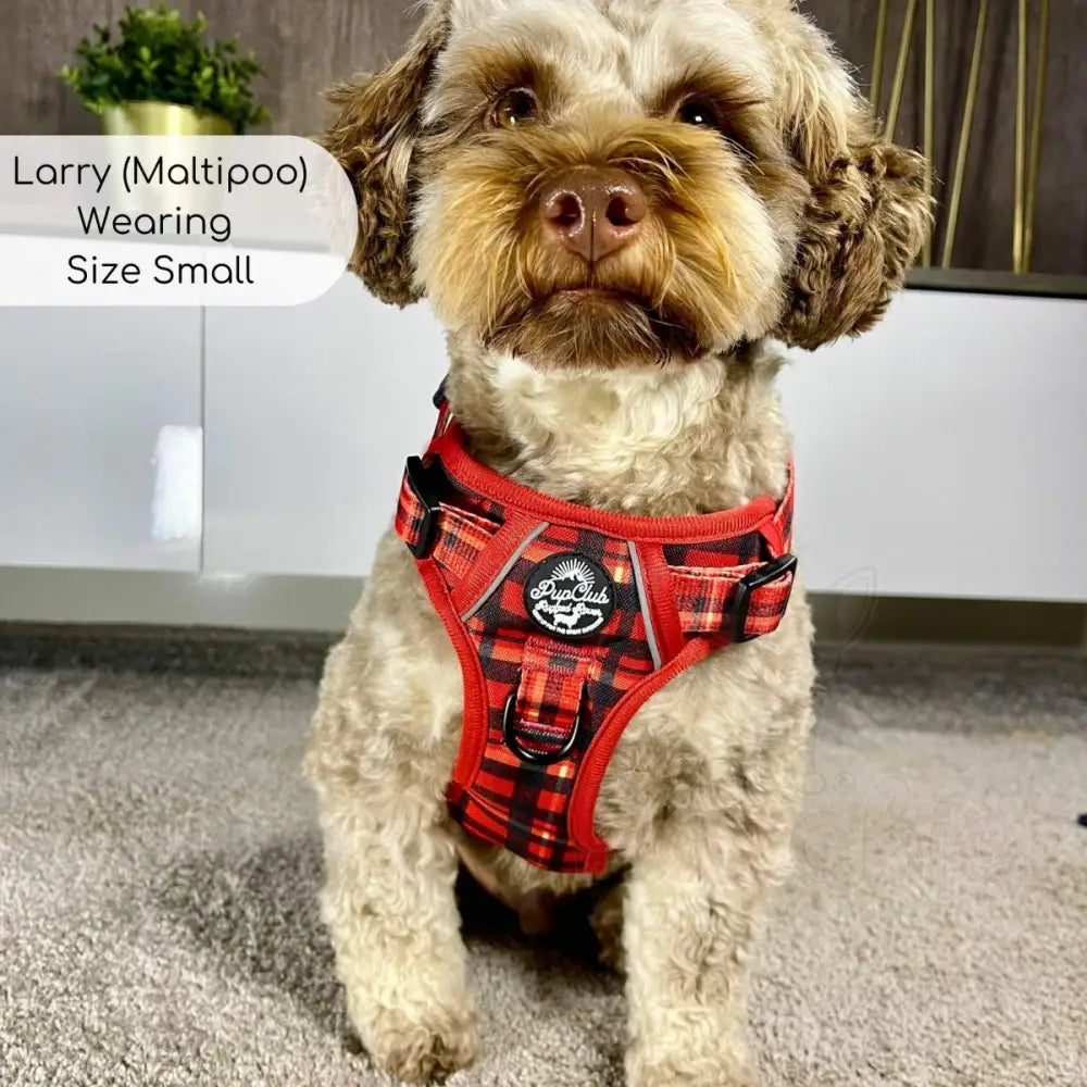 Rugged Rover™ Harness - Red Tartan - Pupclub Couture - 5