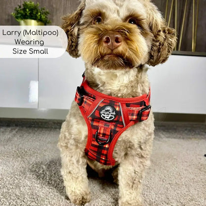 Rugged Rover™ Harness - Red Tartan - Pupclub Couture - 5