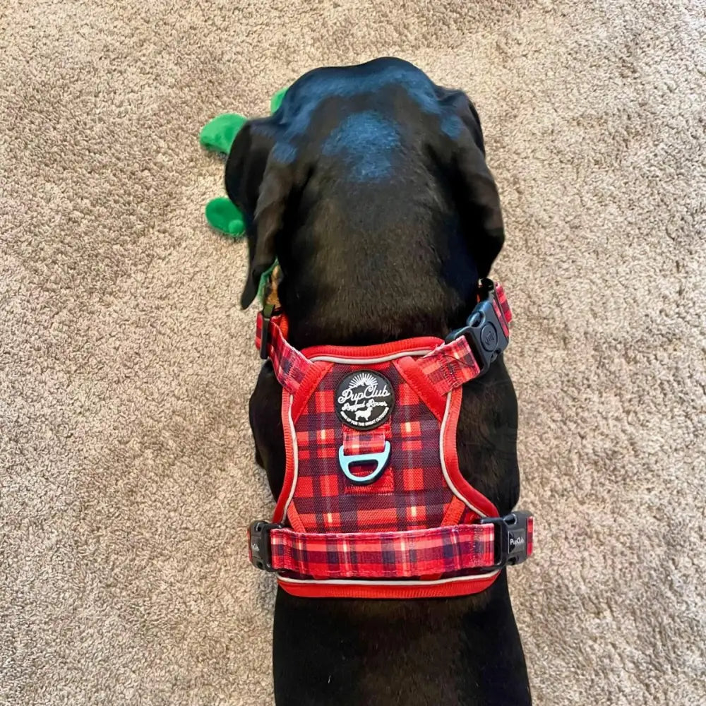 Rugged Rover™ Harness - Red Tartan - Pupclub Couture - 6
