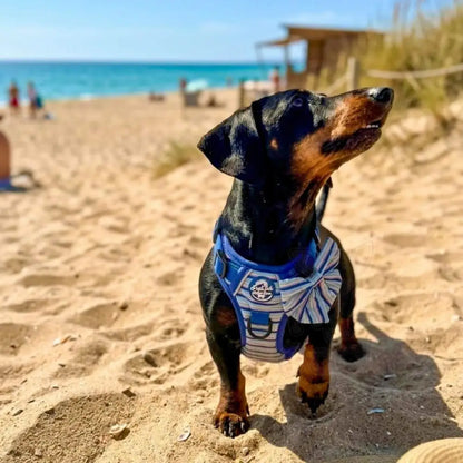 Rugged Rover™ Dog Harness - Sea Breeze Stripes - Pupclub Couture - 8