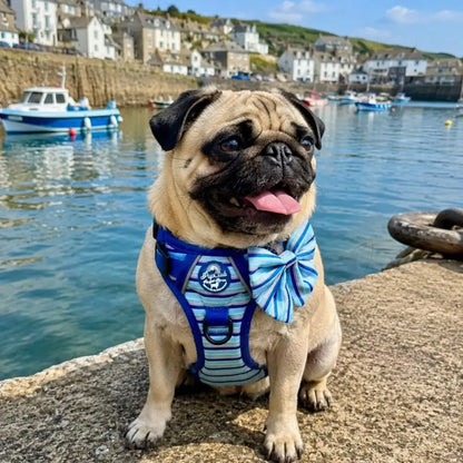 Rugged Rover™ Dog Harness - Sea Breeze Stripes - Pupclub Couture - 9
