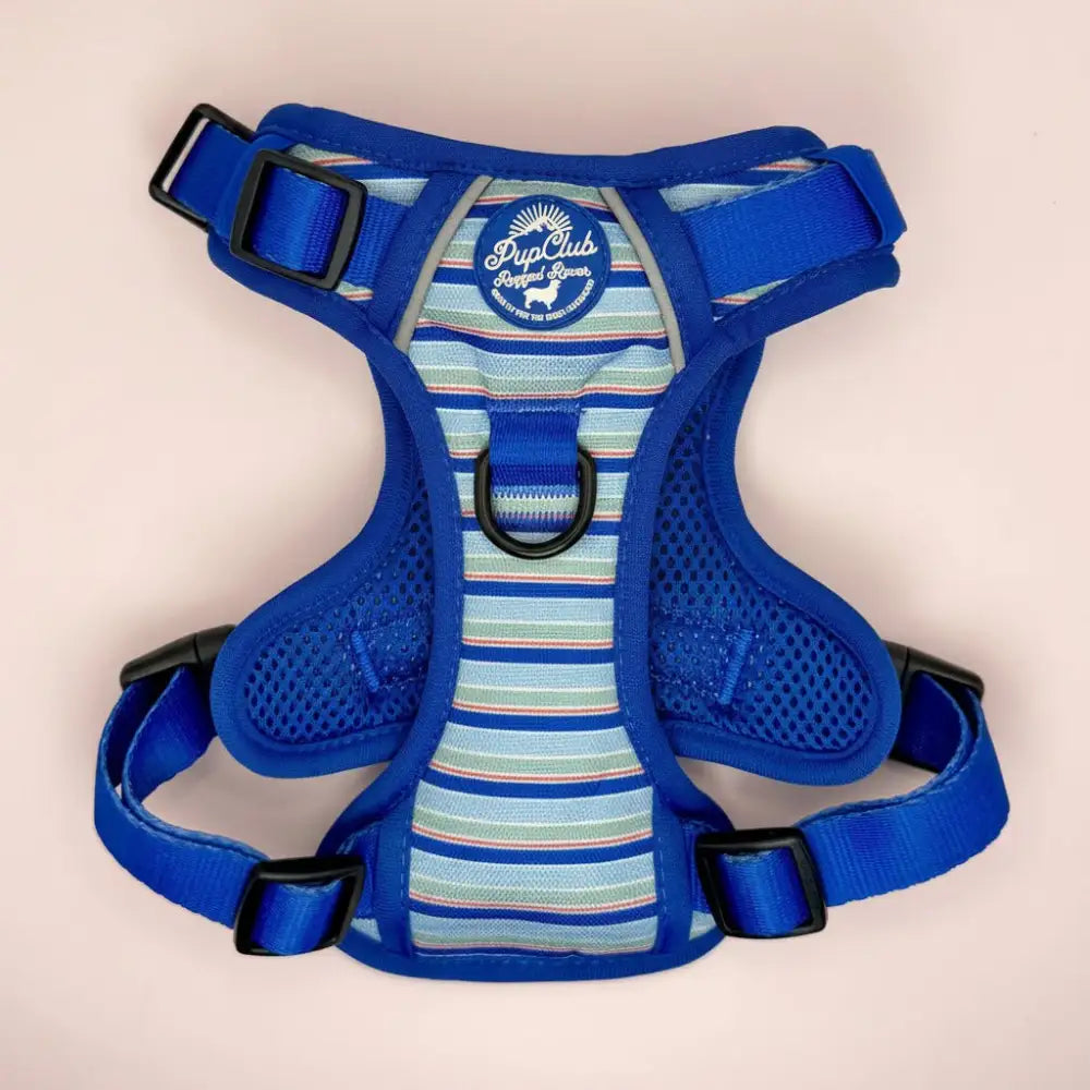 Rugged Rover™ Dog Harness - Sea Breeze Stripes - Pupclub Couture - 1