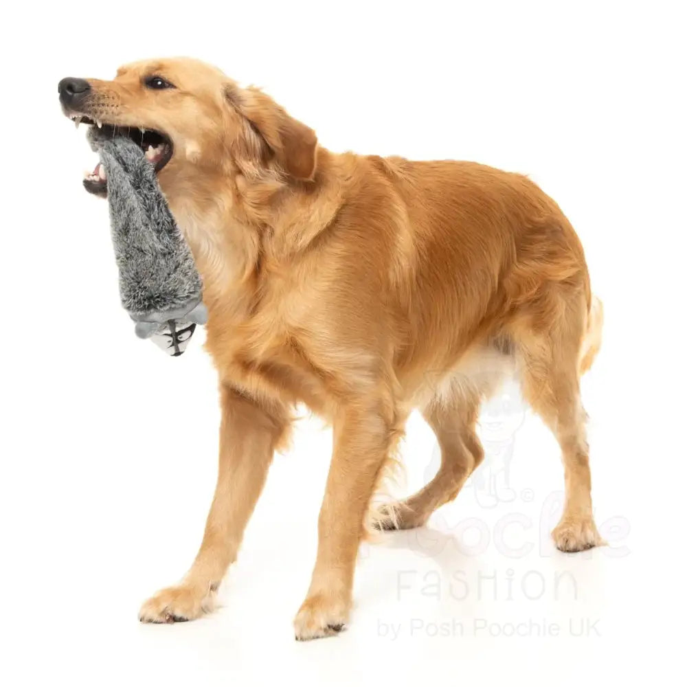 Run Along Raccoon - the Yeetz - Dog Toy by Fuzzyard - Fuzzyard - 5