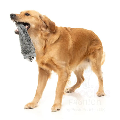 Run Along Raccoon - the Yeetz - Dog Toy by Fuzzyard - Fuzzyard - 5